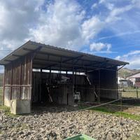 Struttura per cavalli