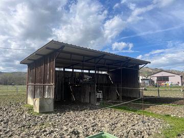 Struttura per cavalli