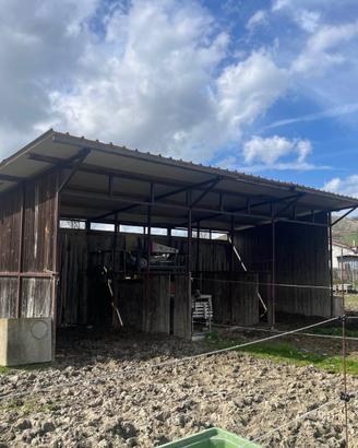 Struttura per cavalli