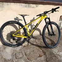 Scott scale 925 29 S