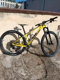 Scott scale 925 29 S