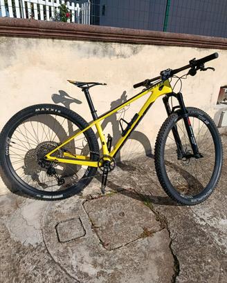 Scott scale 925 29 S