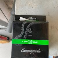 Catena campagnolo pignone mike