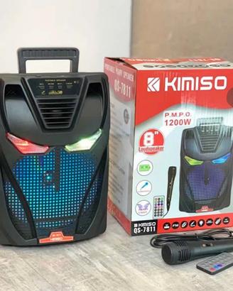 cassa bluetooth 