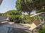 Immagine 15