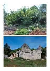 Vendo terreno e trulli