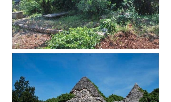 Vendo terreno e trulli