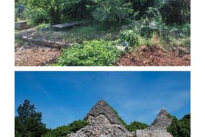 Vendo terreno e trulli