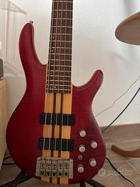 Cort artisan A5 2011 5 corde