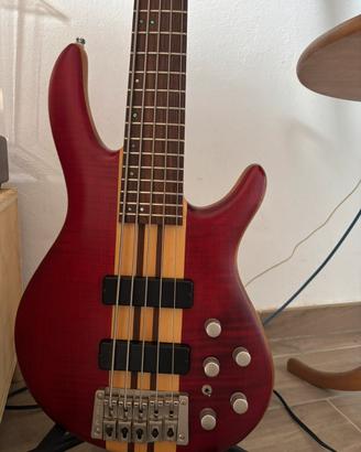 Cort artisan A5 2011 5 corde