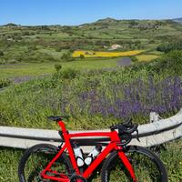 Bici Pinarello Gan taglia M 54