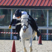 Pony sportivo pony games