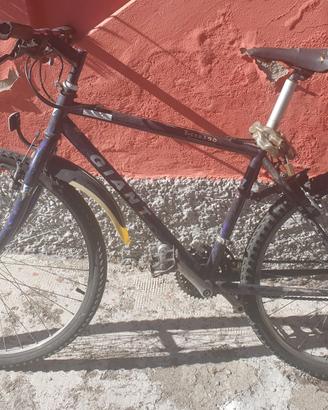 bici mountain bike