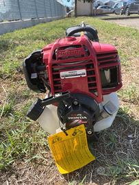 Decespugliatore Honda GX25 4 tempi