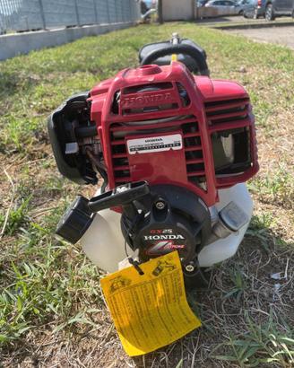 Decespugliatore Honda GX25 4 tempi