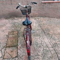 Aspettando le belle giornate all'aria aperta