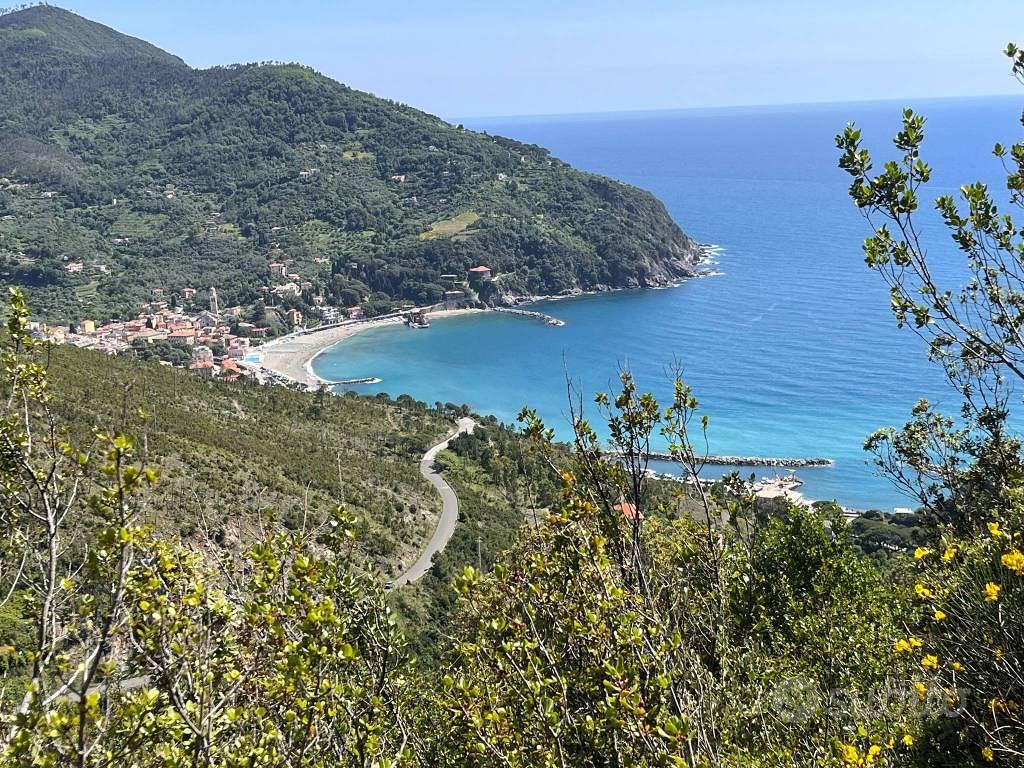 Terreno di 165000 m² a Levanto - Vista 4