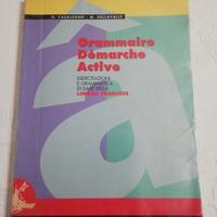 Grammaire Demarche Active francese 