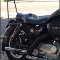 sissy bar portapacchi sportster 883 harley