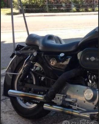 sissy bar portapacchi sportster 883 harley
