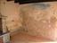 Immagine 14