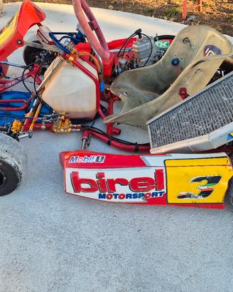 Kart Birel 125 