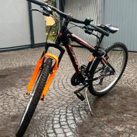 Biciclette mountain bike(prezzo trattabile)