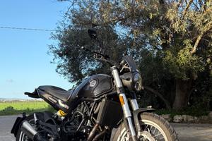 Benelli Leoncino 500 - 2023
