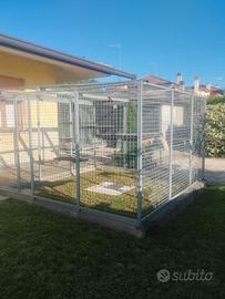 Box per cani singolo