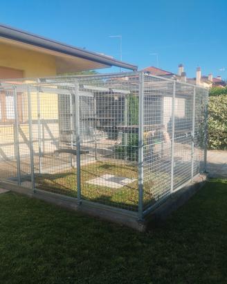 Box per cani singolo