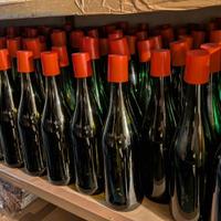 Bottiglie vino mod. Emiliana 750ml