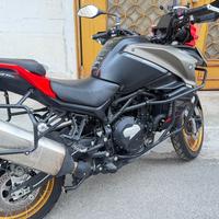 QJ Motor SRT 800 sx- 2025