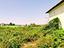 Immagine 28
