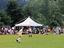 Immagine 7