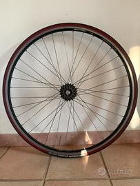 Cerchio ambrosio campagnolo