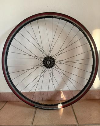 Cerchio ambrosio campagnolo