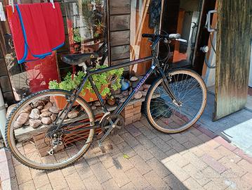  due mtb