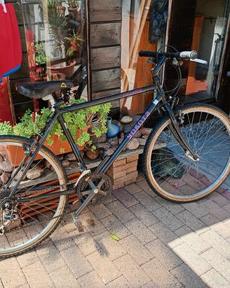  due mtb