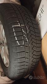 Audi Q 5 cerchi e 4 pneumatici Continentaltotal