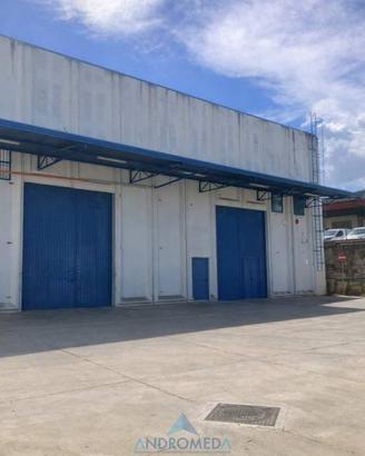 Immobile di 2000 m² a Casoria