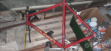 telaio bici