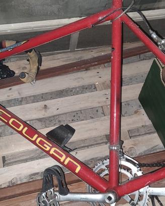 telaio bici