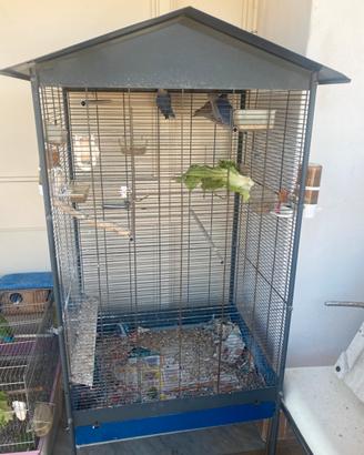 Voliera gabbia