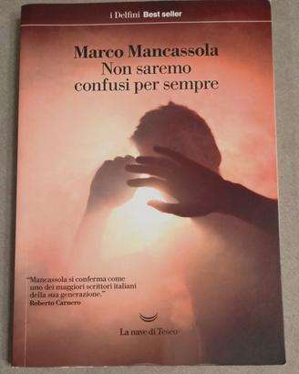 libro "Non saremo confusi per sempre" Mancassola M