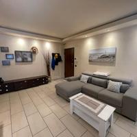 Borghesiana: appartamento bilivello con giardino