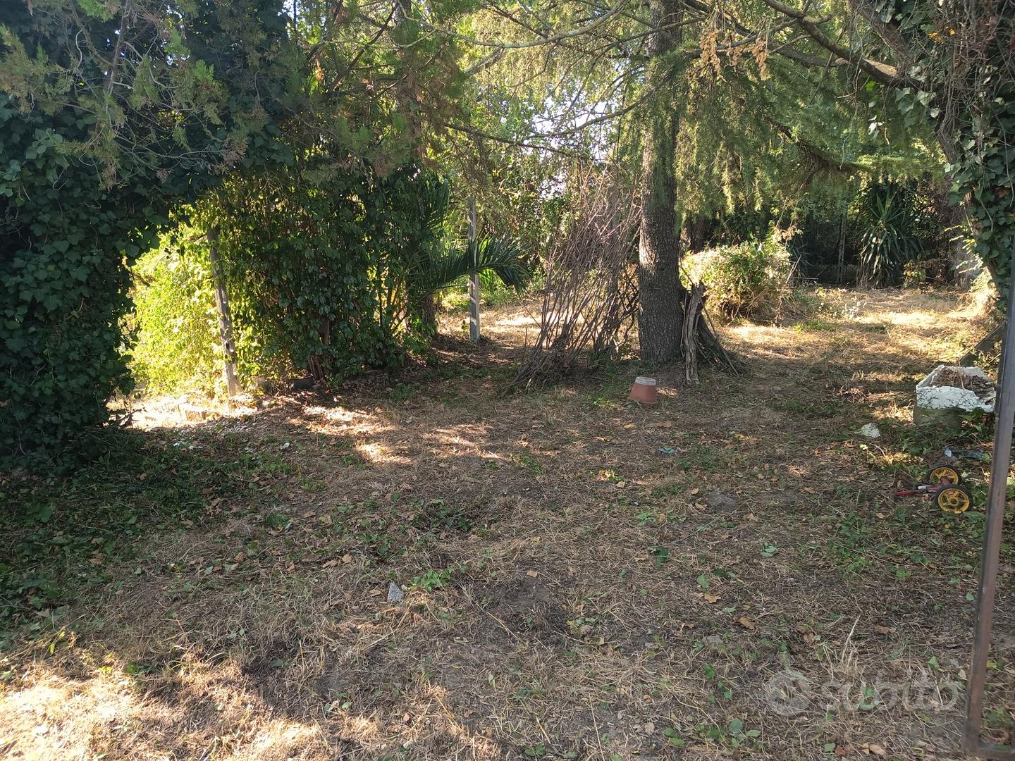 Terreno agricolo - Vista 2