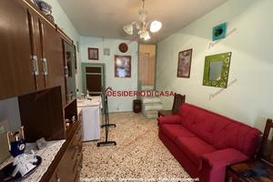 Casa, Cerda.