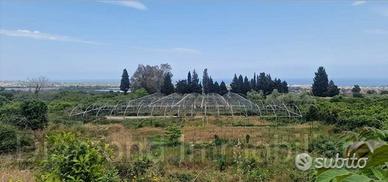 Terreno con rustico e serre a Mascali