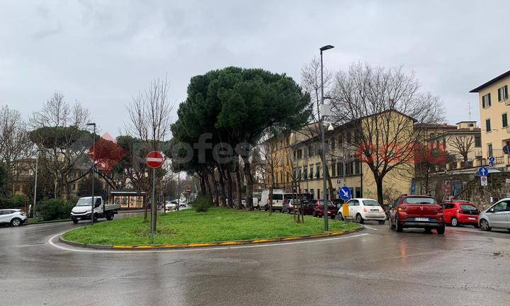 Negozio Firenze [CM018/25LACG]