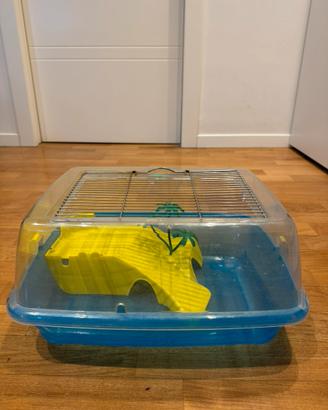 Casa in plastica per tartarughe d’acqua
